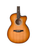 SE A50E (Vintage Sunburst), зображення 2